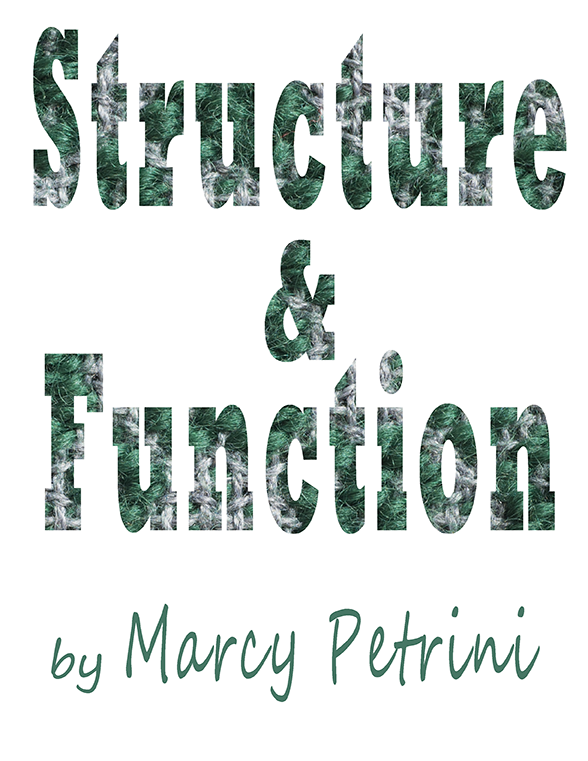 (image for) Structure and Function - Click Image to Close